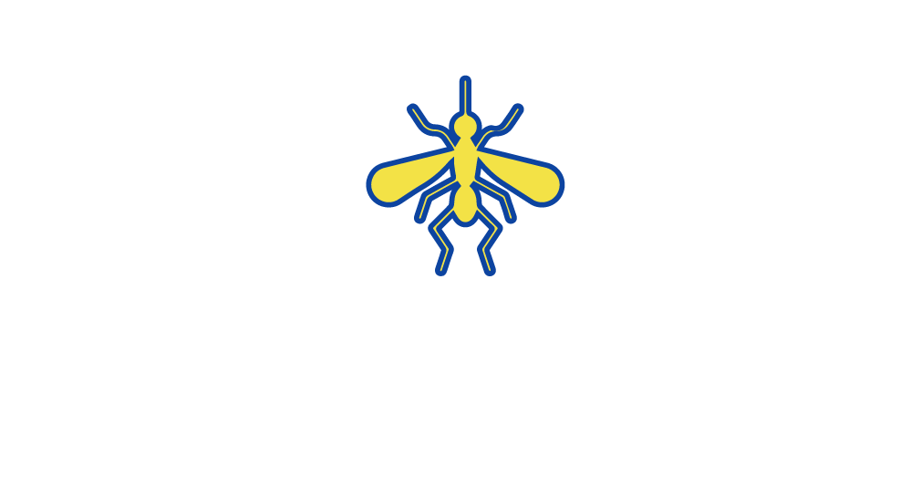 Transmission to mosquito (ingests gametocytes via bite)